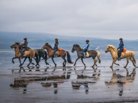 Iceland Horse Riding Tour 